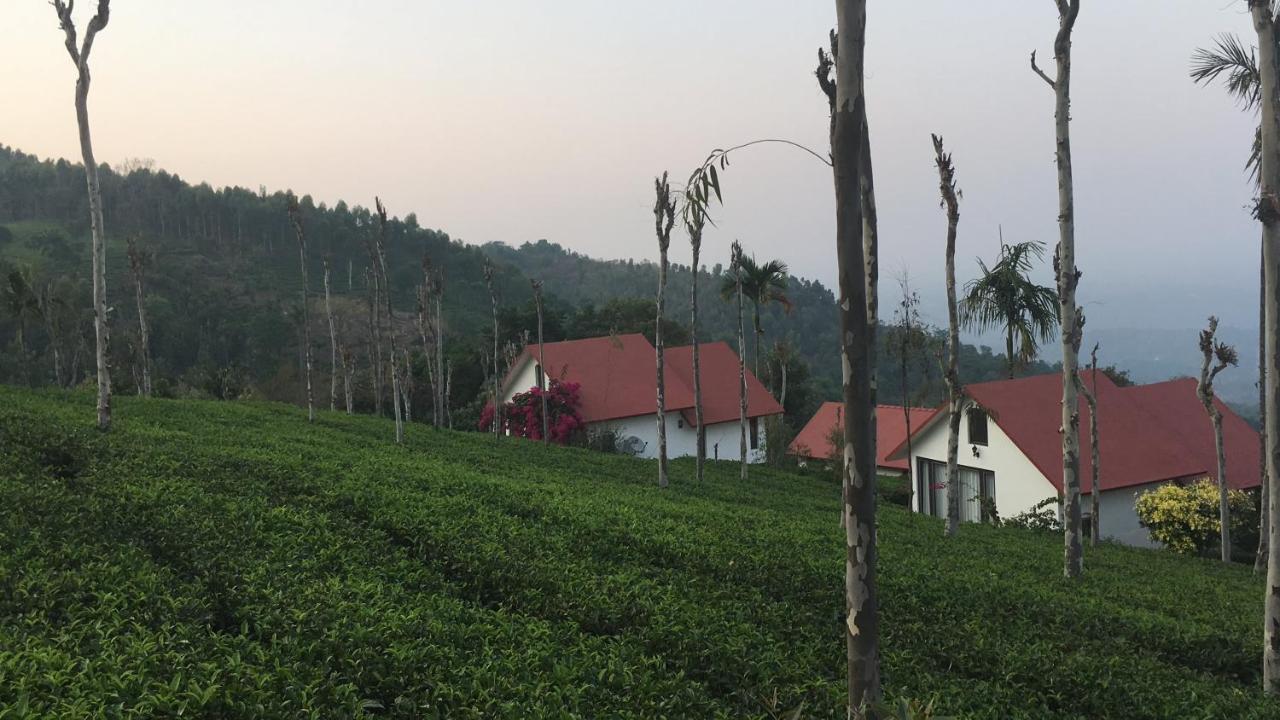 Готель Tea Terrace Vythiri Ваянад Екстер'єр фото