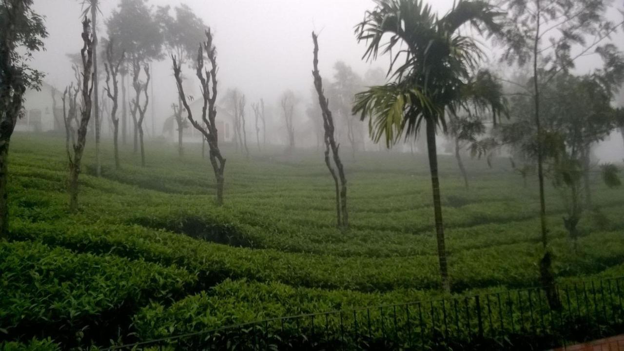 Готель Tea Terrace Vythiri Ваянад Екстер'єр фото