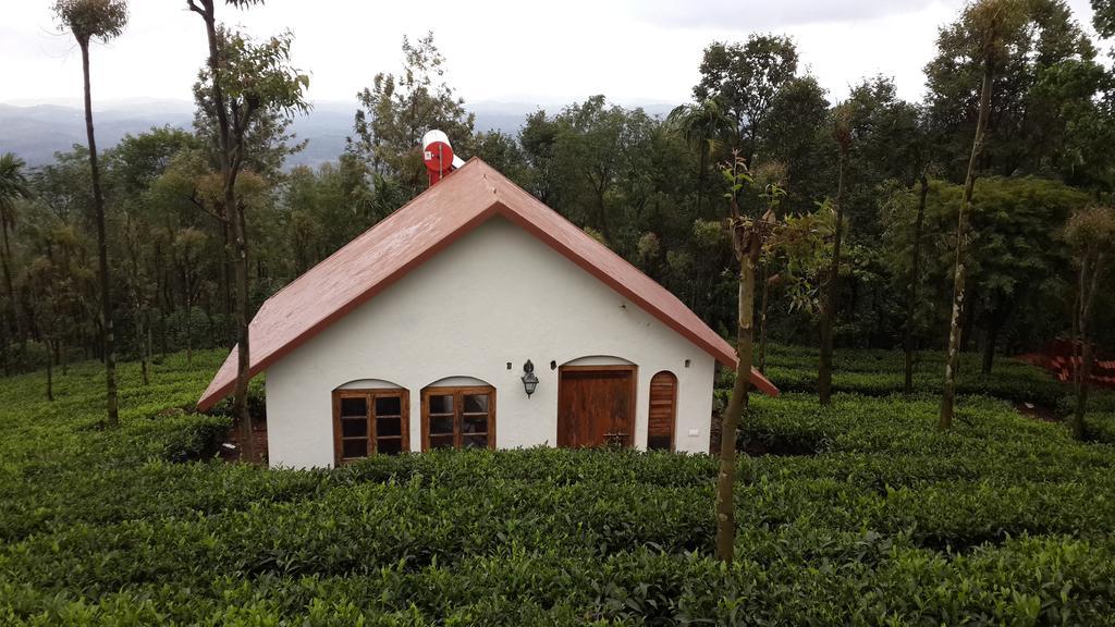Готель Tea Terrace Vythiri Ваянад Номер фото